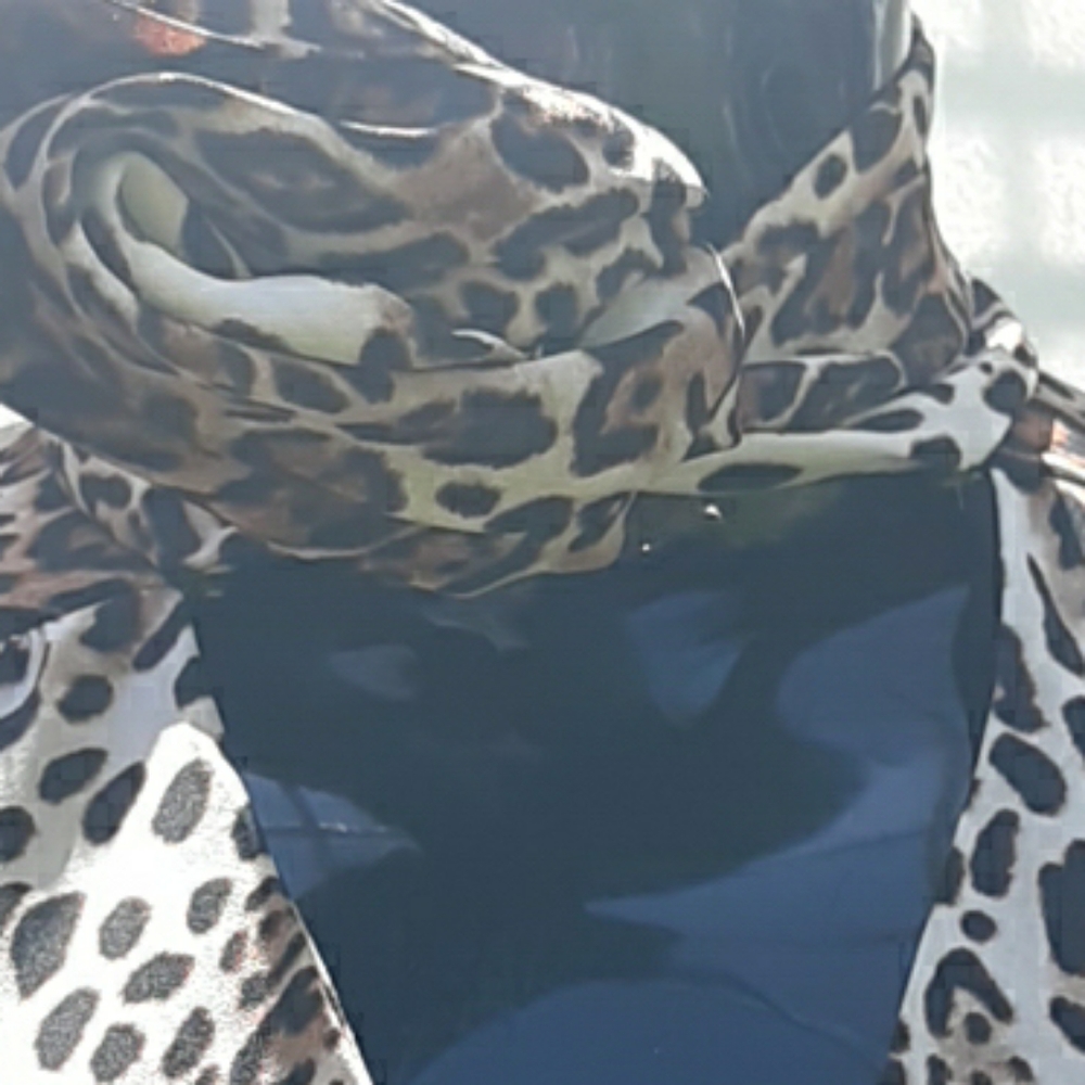 Leopard Printed Blouse - image 5